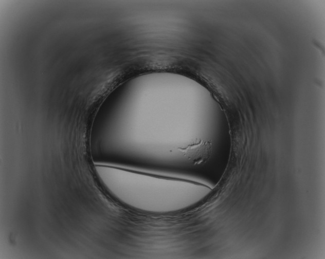 X0000093370497200710111329
