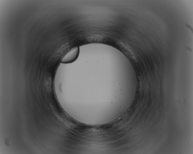 X0000093370498200710111329