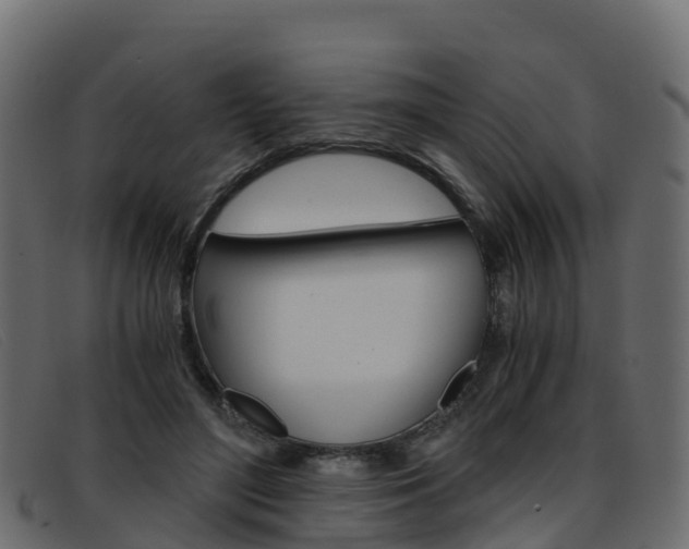 X0000093370500200710111329