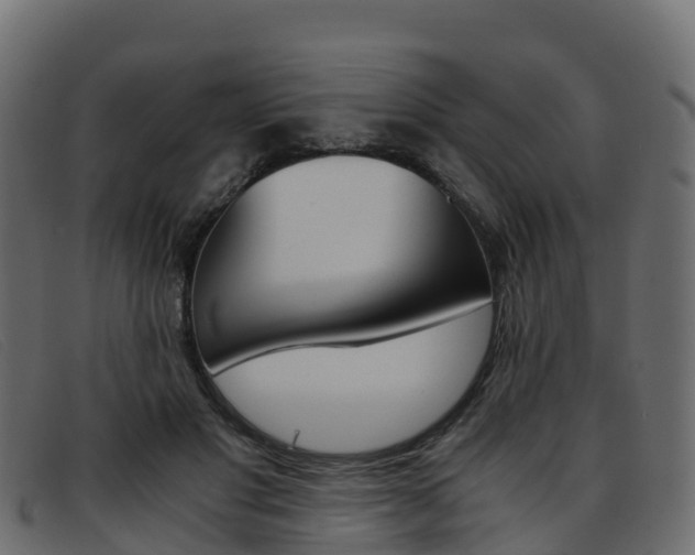 X0000093370501200710111329