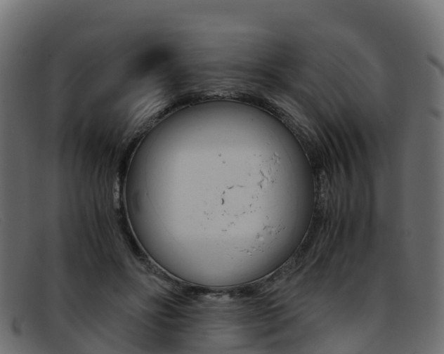 X0000093370502200710111329