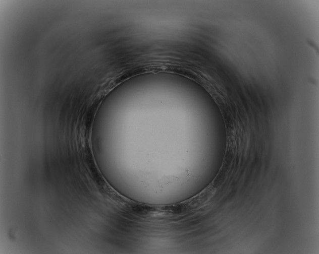 X0000093370504200710111329