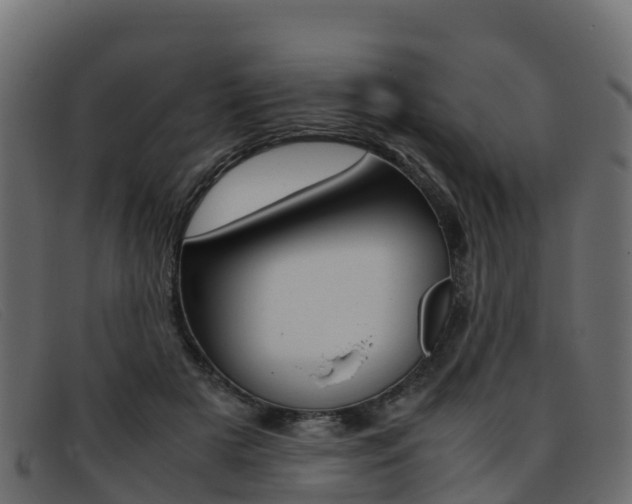X0000093370505200710111329