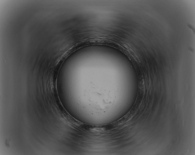 X0000093370508200710111329
