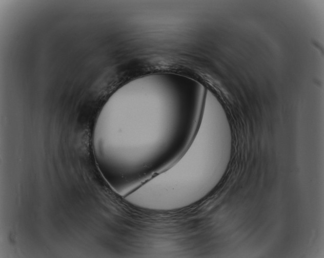 X0000093370509200710111329