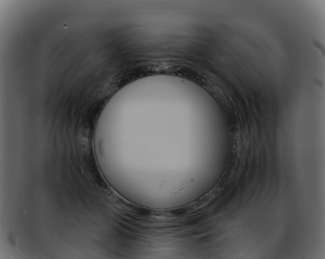 X0000093370510200710111329
