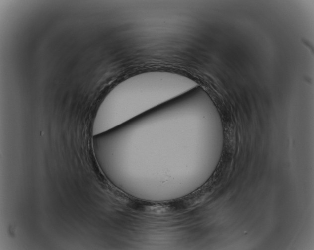 X0000093370511200710111329