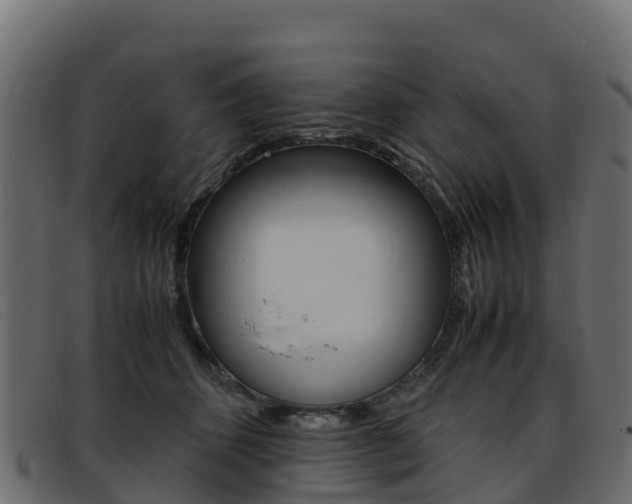 X0000093370512200710111329