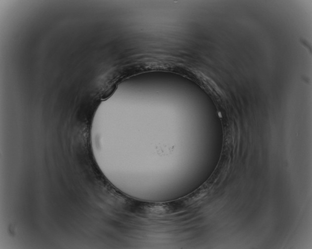 X0000093370513200710111329