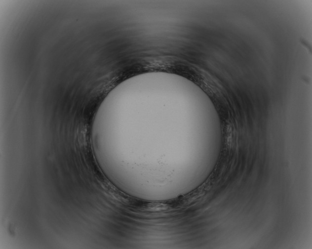 X0000093370514200710111329