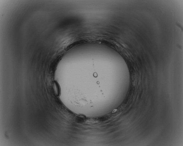 X0000093370515200710111329