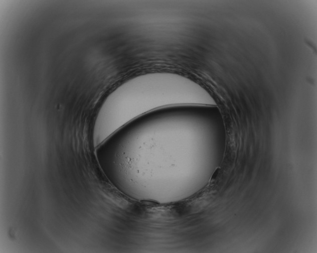 X0000093370516200710111329