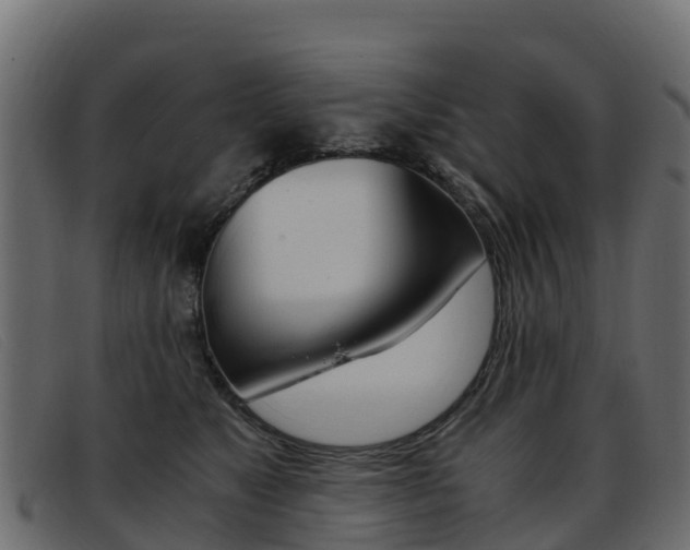 X0000093370517200710111329
