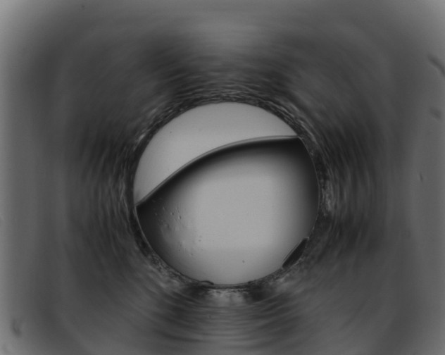 X0000093370520200710111329