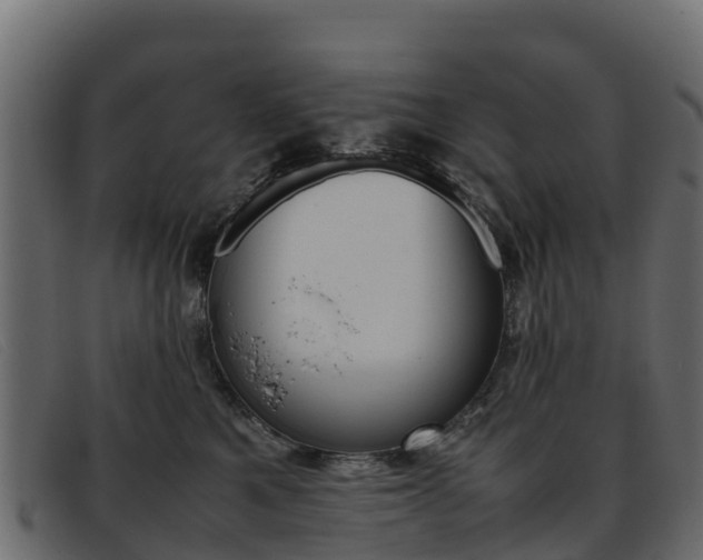 X0000093370521200710111329