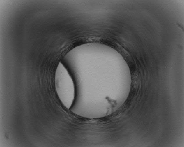 X0000093370523200710111329