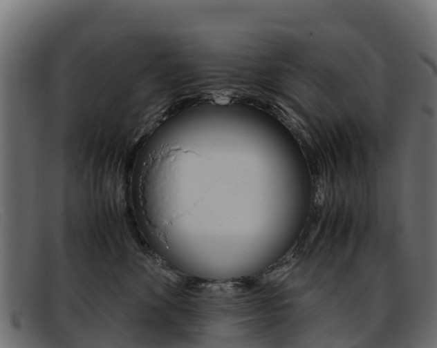 X0000093370524200710111329