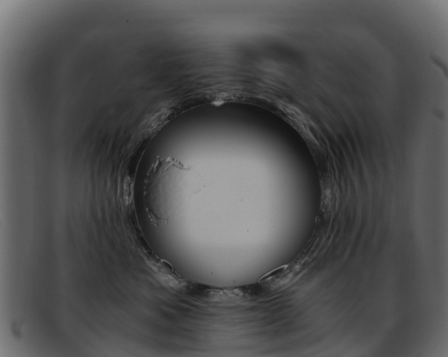 X0000093370525200710111329