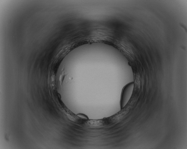 X0000093370526200710111329