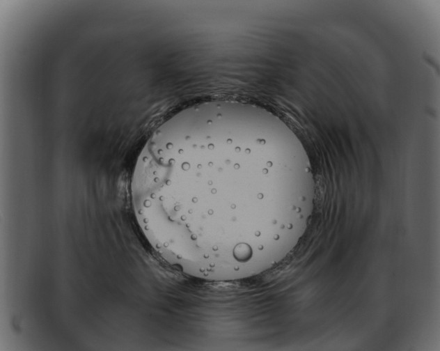 X0000093370527200710111329