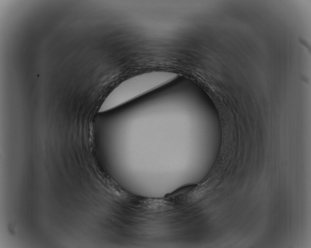 X0000093370528200710111329