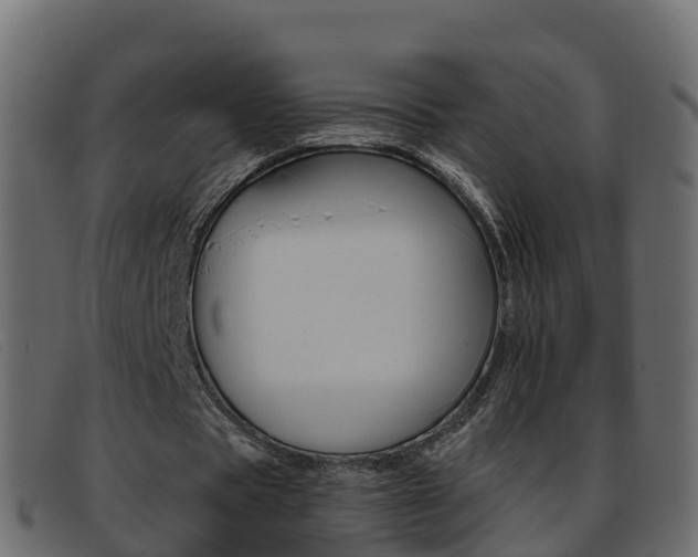 X0000093370529200710111328