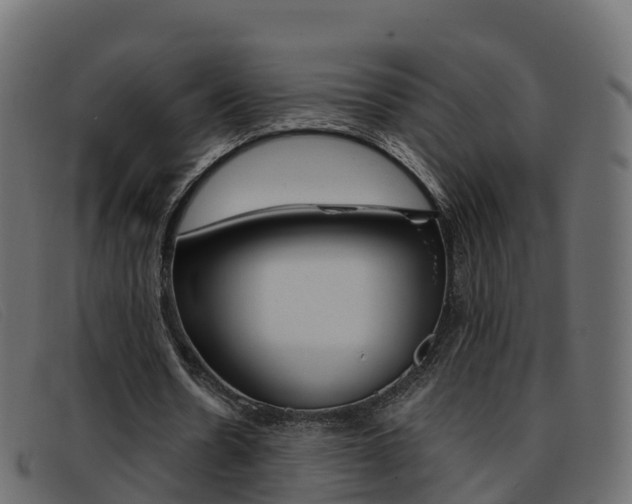 X0000093370530200710111328