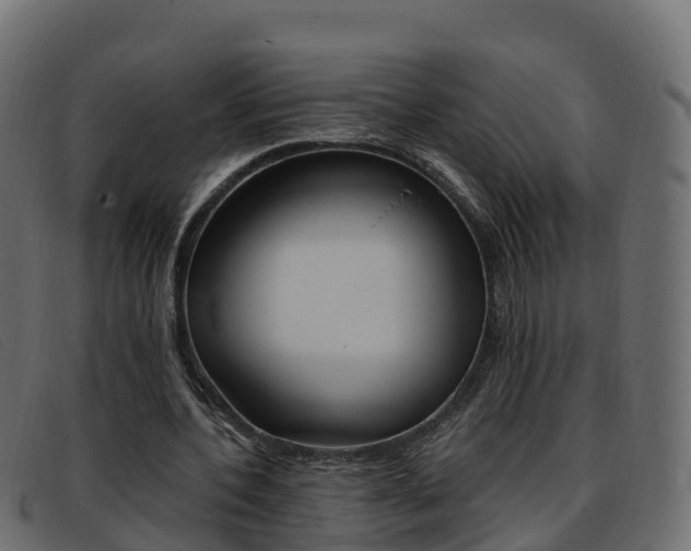 X0000093370532200710111328
