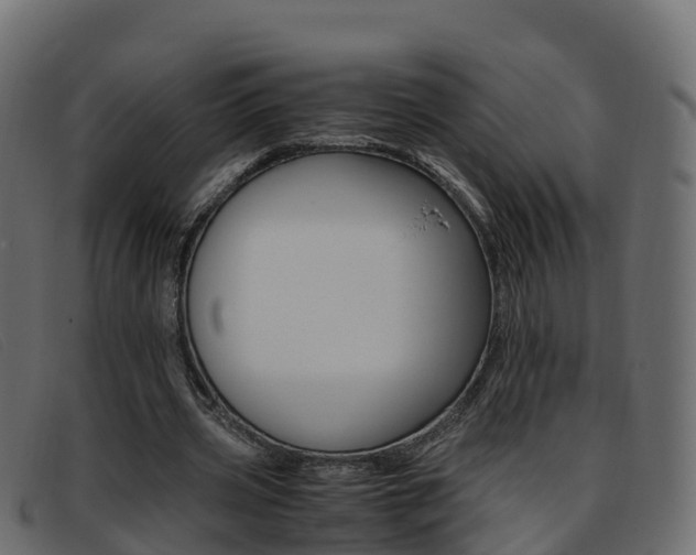 X0000093370533200710111328