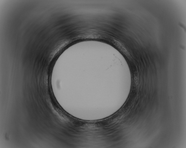 X0000093370534200710111328
