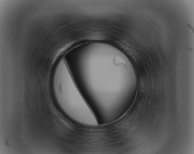 X0000093370535200710111328