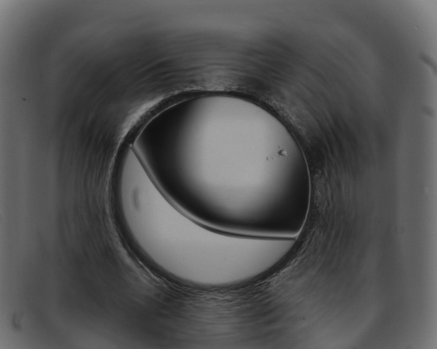 X0000093370536200710111328