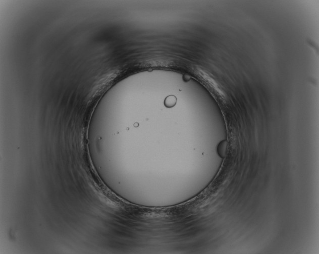 X0000093370537200710111328