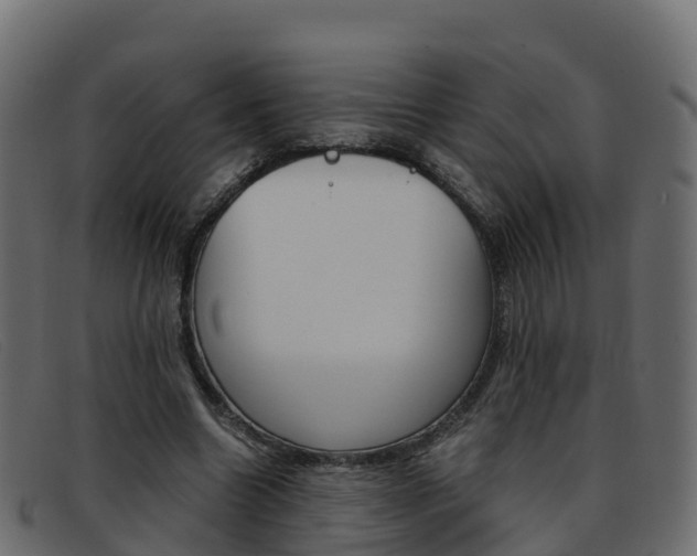 X0000093370538200710111328