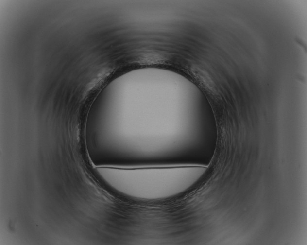 X0000093370539200710111328