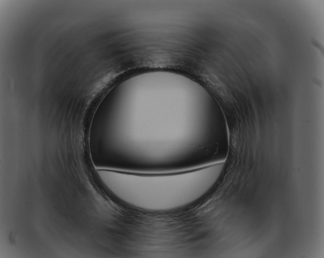 X0000093370540200710111328