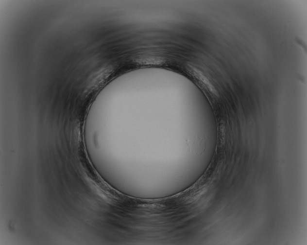 X0000093370541200710111328