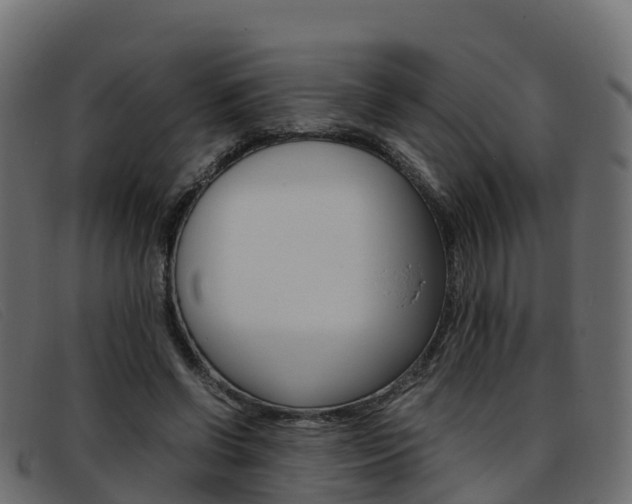 X0000093370542200710111328