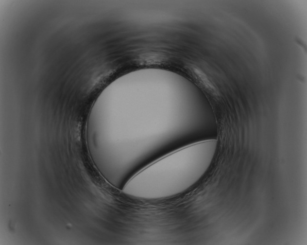 X0000093370543200710111328