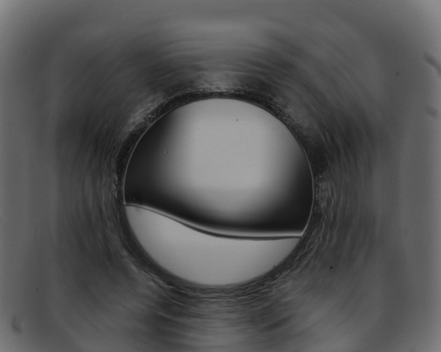 X0000093370544200710111328
