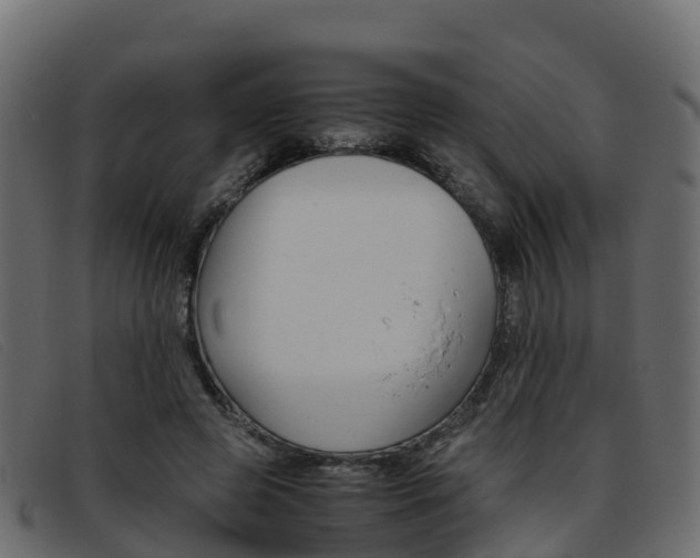 X0000093370545200710111328