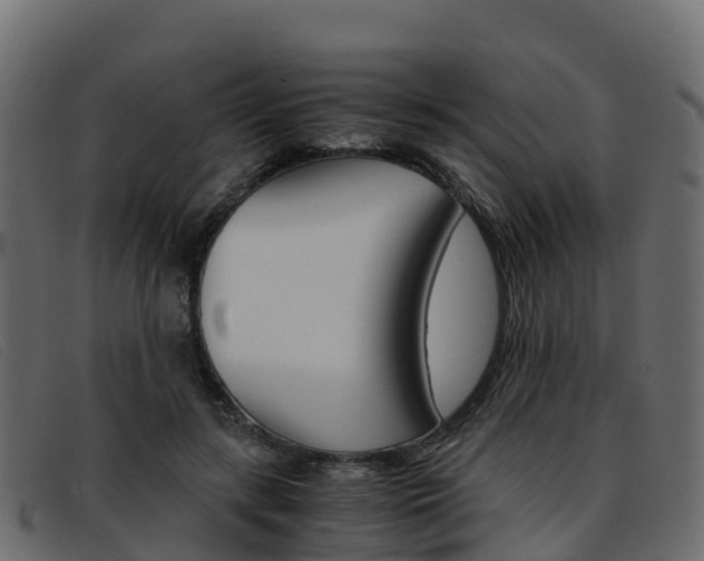 X0000093370547200710111328