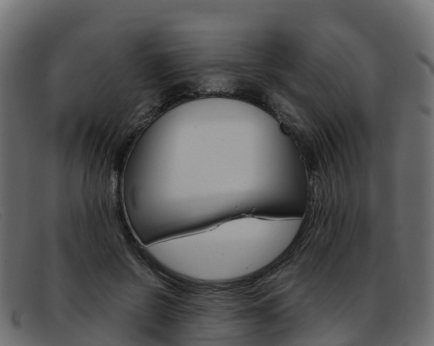X0000093370550200710111328