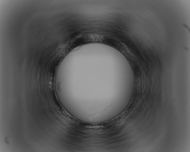 X0000093370553200710111328