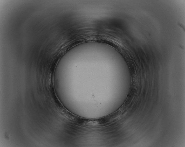 X0000093370554200710111328