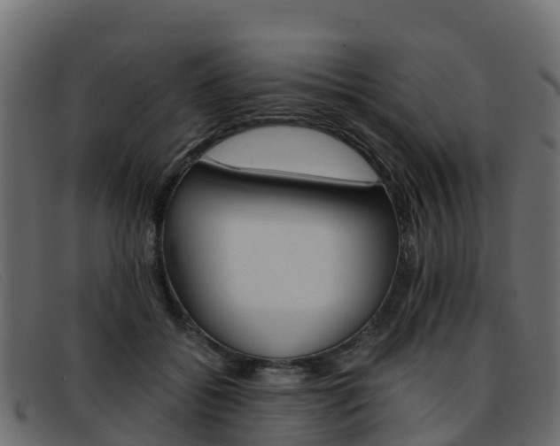 X0000093370556200710111328