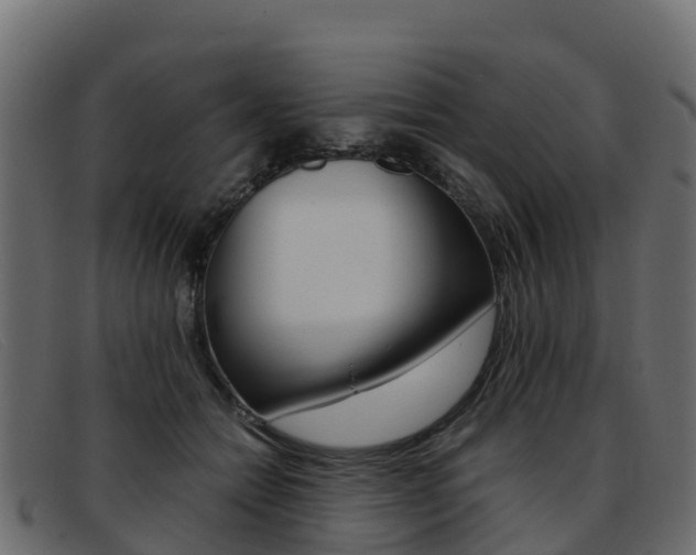 X0000093370558200710111329