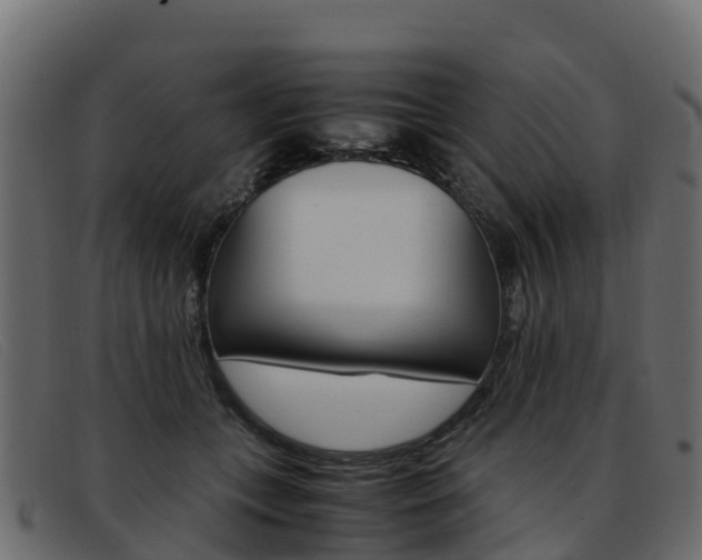X0000093370559200710111329