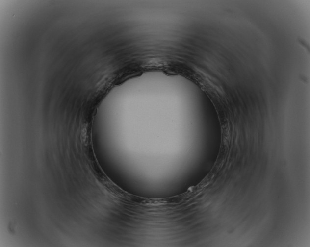 X0000093370560200710111329