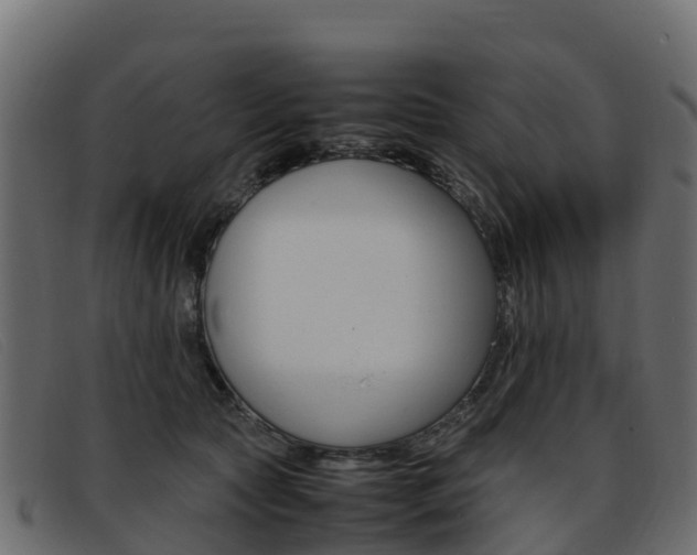 X0000093370561200710111329